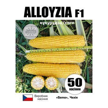 АЛОЙЗІЯ F1 / ALLOYZIA F1 50 насіння кукурудза 2533856433 фото