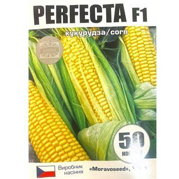 ПЕРФЕКТА F1 / PERFECTA F1 50 насінин кукурудза 2533871364 фото