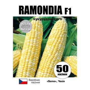 Рамондія F1/Ramondia F1 50 насінин кукурудза 2533874654 фото