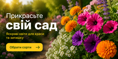 Banner from design