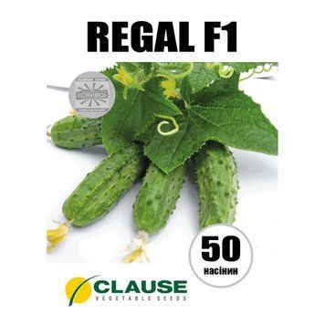 REGAL F1 / РЕГАЛ F1 50 насіння огірок 2534893836 фото