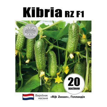 Кібрія RZ F1/Kybria RZ F1 20 насіння огірок 2534903017 фото