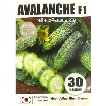 АВАЛАНЖ F1 / AVALANCHE F1 30 насіння огірок 2534905641 фото
