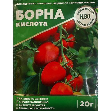 Борна кислота 20 грам 3007900256 фото