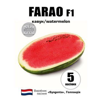 Фарао F1/FARAO F1 5 насіння кавун 2534915821 фото