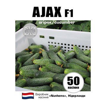 Аякс F1 / AJAX F1 50 насінин огірок 2534697199 фото