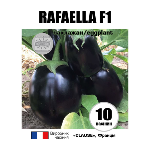 Рафаелла F1 / Rafaella F1 (10 насінин) баклажан