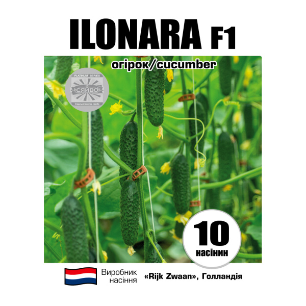 Ілонара RZ F1 / Ilonara F1 (10 насінин) огірок
