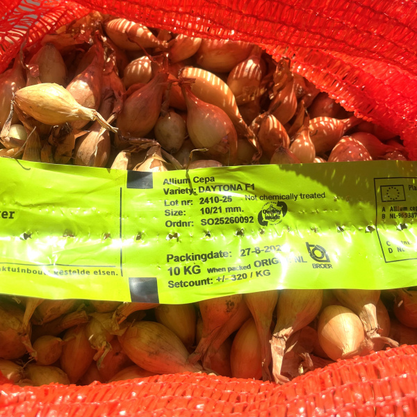 Дайтона F1 500 грам, Broer Нідерланди