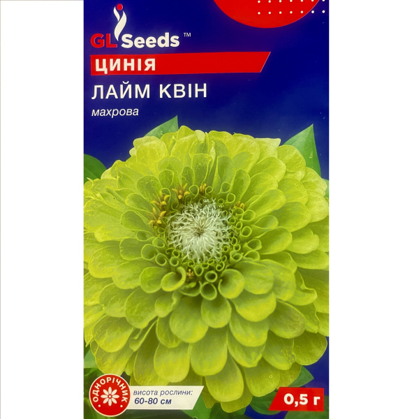 Лайм квін цинія (майори) (0,5 грам) 