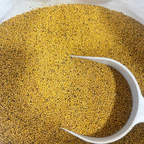 Гірчиця сидерат 1 кг