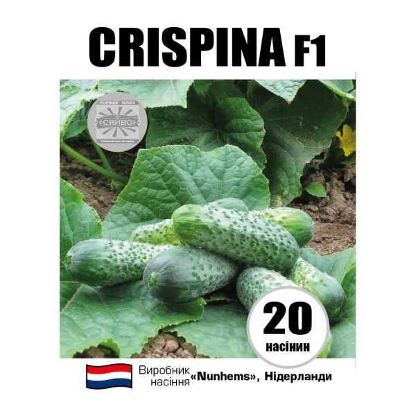 Кріспіна F1 / Crispina F1 (20 насінин) огірок